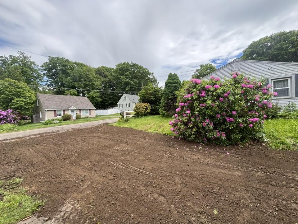 Property section cleared of knotweed — ready for loam and replanting